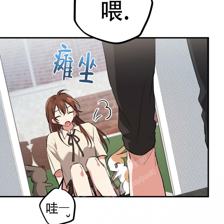 《 夏菲菲的兔子》漫画最新章节第97话免费下拉式在线观看章节第【38】张图片