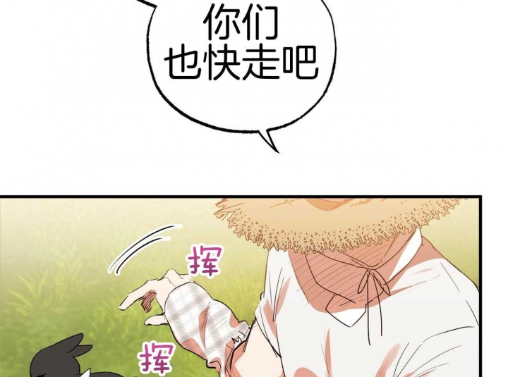 《 夏菲菲的兔子》漫画最新章节第28话免费下拉式在线观看章节第【57】张图片