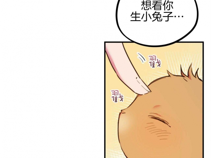 《 夏菲菲的兔子》漫画最新章节第1话免费下拉式在线观看章节第【63】张图片