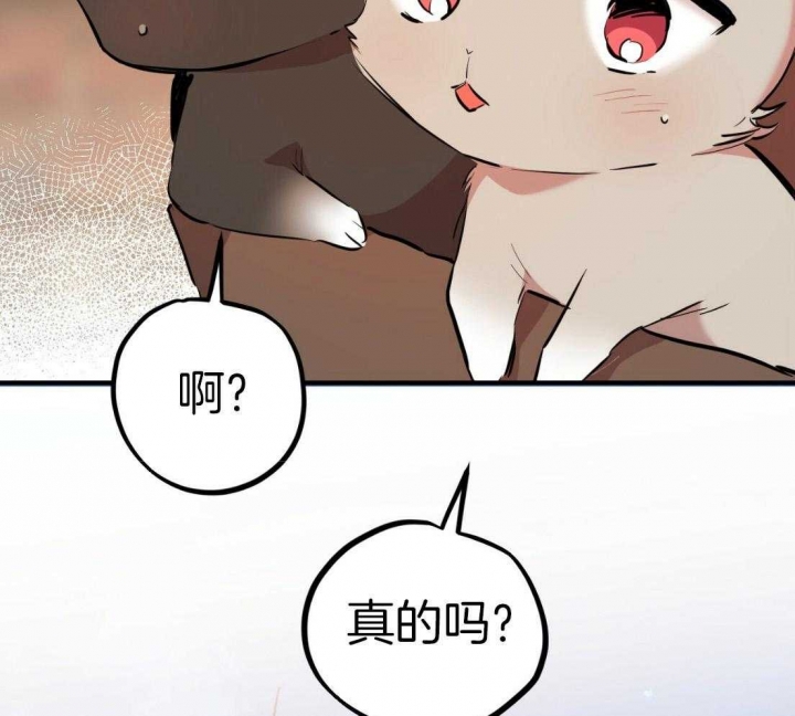 《 夏菲菲的兔子》漫画最新章节第55话免费下拉式在线观看章节第【49】张图片