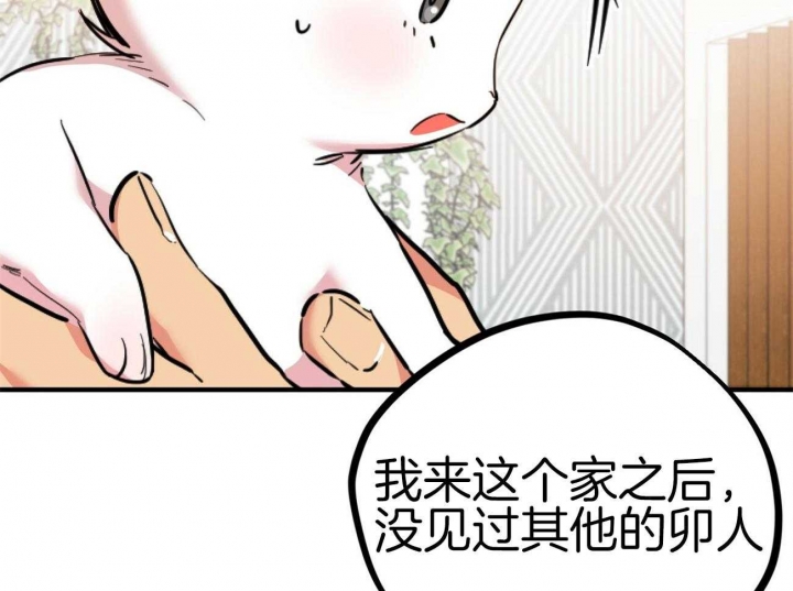 《 夏菲菲的兔子》漫画最新章节第7话免费下拉式在线观看章节第【46】张图片