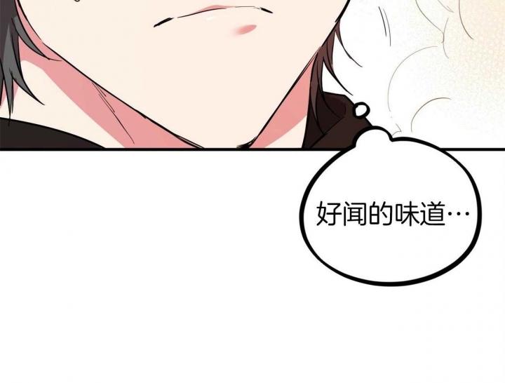 《 夏菲菲的兔子》漫画最新章节第11话免费下拉式在线观看章节第【39】张图片