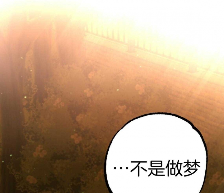 《 夏菲菲的兔子》漫画最新章节第66话免费下拉式在线观看章节第【51】张图片