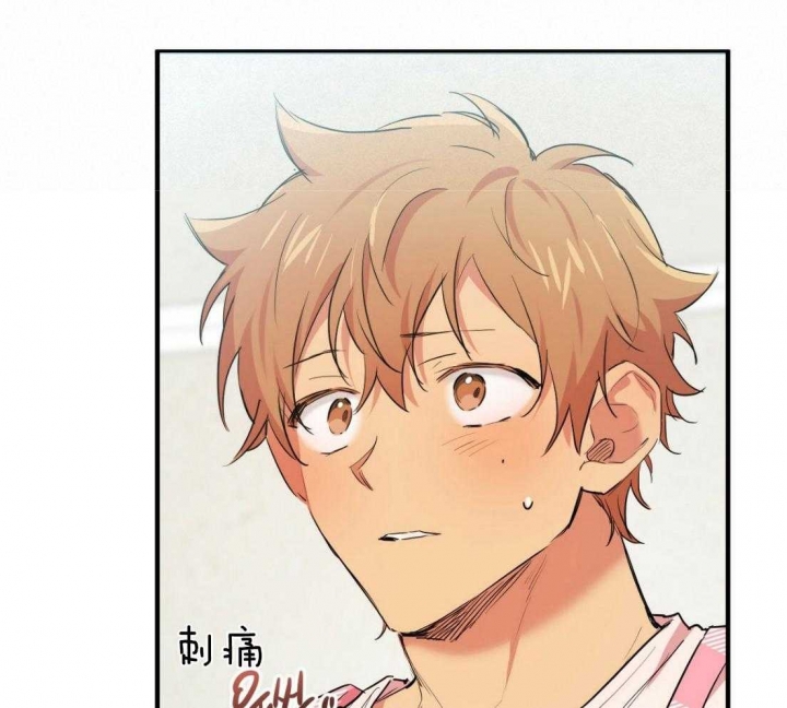 《 夏菲菲的兔子》漫画最新章节第48话免费下拉式在线观看章节第【4】张图片