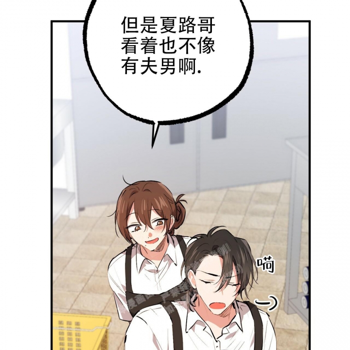 《 夏菲菲的兔子》漫画最新章节第100话免费下拉式在线观看章节第【31】张图片