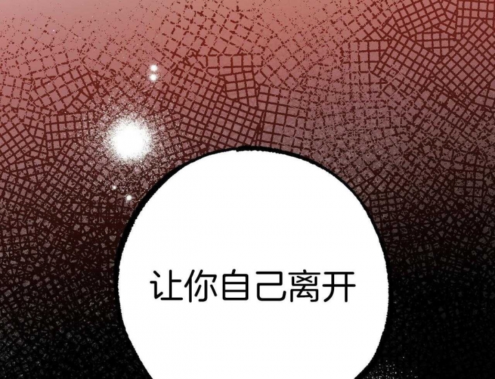 《 夏菲菲的兔子》漫画最新章节第61话免费下拉式在线观看章节第【90】张图片