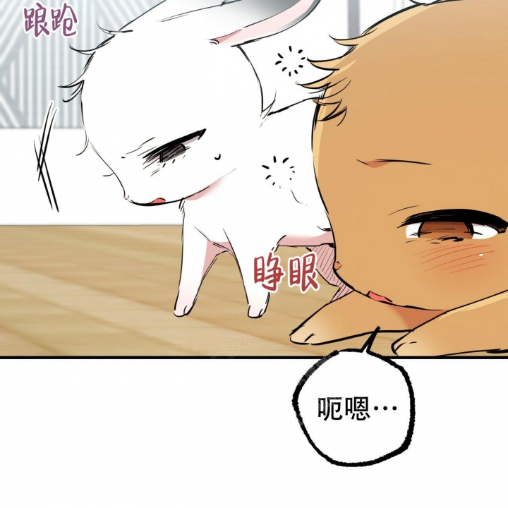 《 夏菲菲的兔子》漫画最新章节第90话免费下拉式在线观看章节第【35】张图片