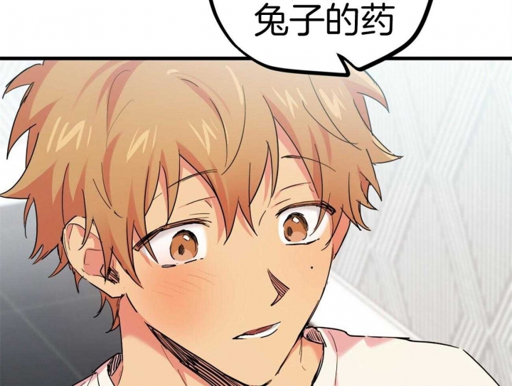 《 夏菲菲的兔子》漫画最新章节第32话免费下拉式在线观看章节第【34】张图片