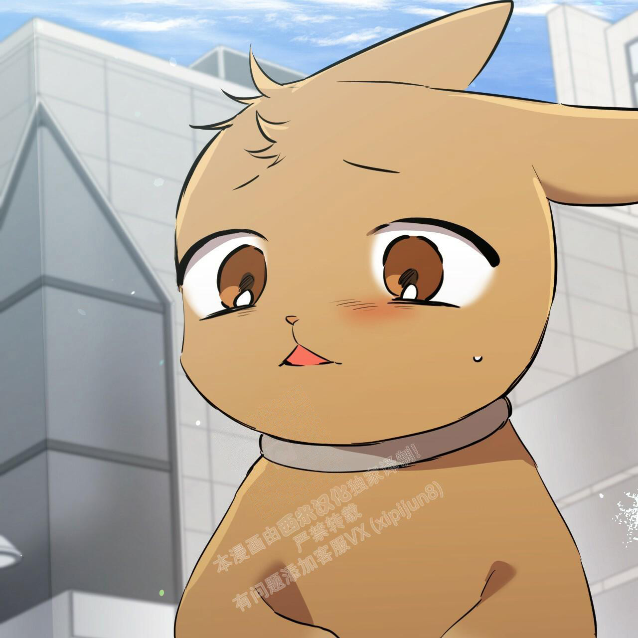 《 夏菲菲的兔子》漫画最新章节第114话免费下拉式在线观看章节第【49】张图片