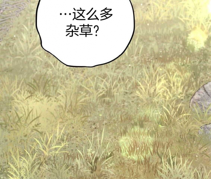 《 夏菲菲的兔子》漫画最新章节第65话免费下拉式在线观看章节第【37】张图片