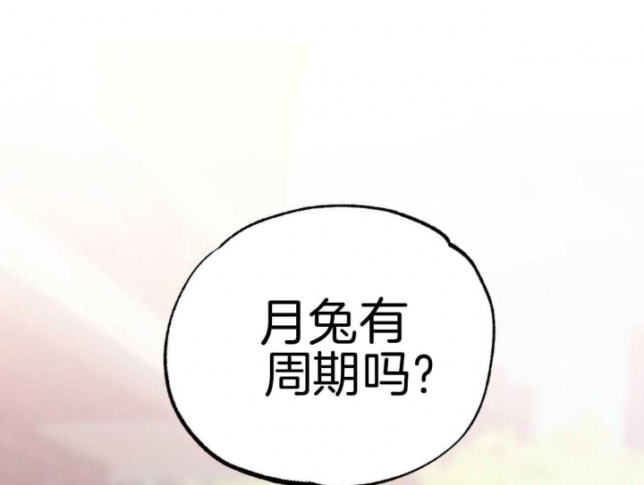 《 夏菲菲的兔子》漫画最新章节第28话免费下拉式在线观看章节第【45】张图片