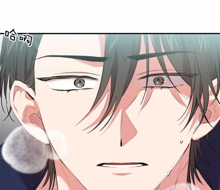 《 夏菲菲的兔子》漫画最新章节第65话免费下拉式在线观看章节第【16】张图片