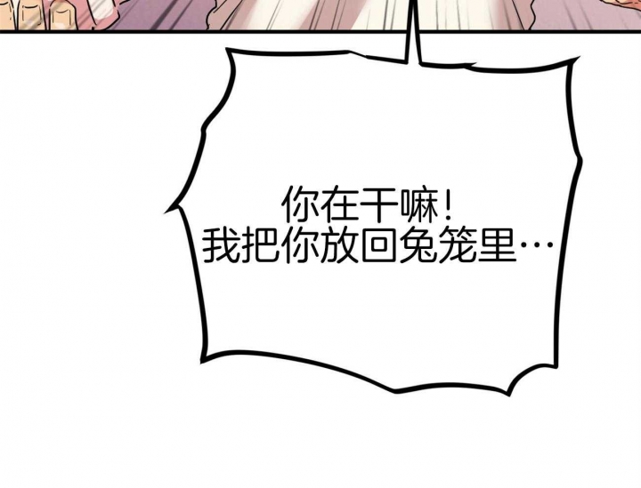 《 夏菲菲的兔子》漫画最新章节第18话免费下拉式在线观看章节第【16】张图片