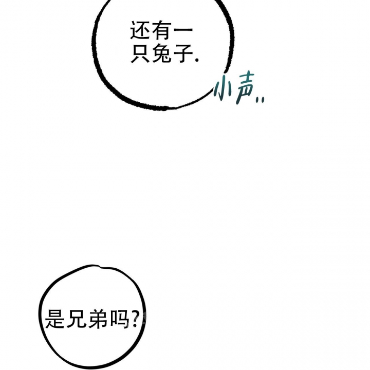 《 夏菲菲的兔子》漫画最新章节第96话免费下拉式在线观看章节第【65】张图片