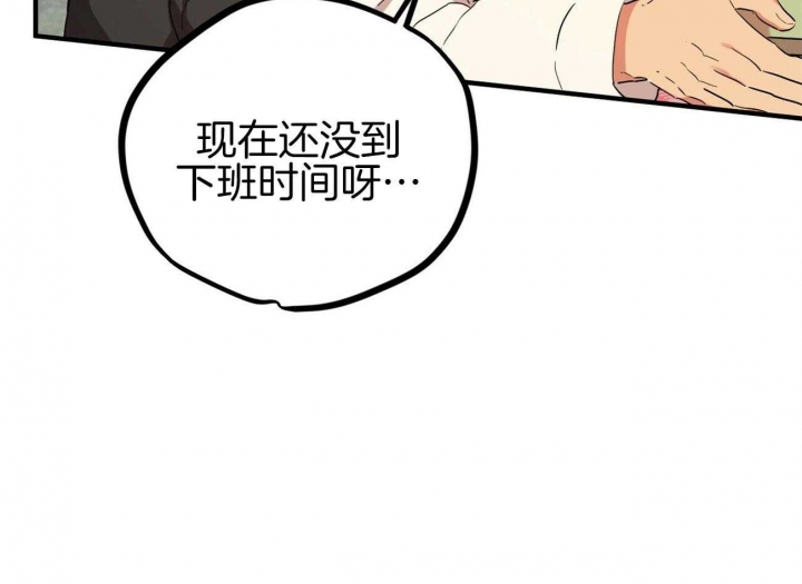 《 夏菲菲的兔子》漫画最新章节第18话免费下拉式在线观看章节第【9】张图片