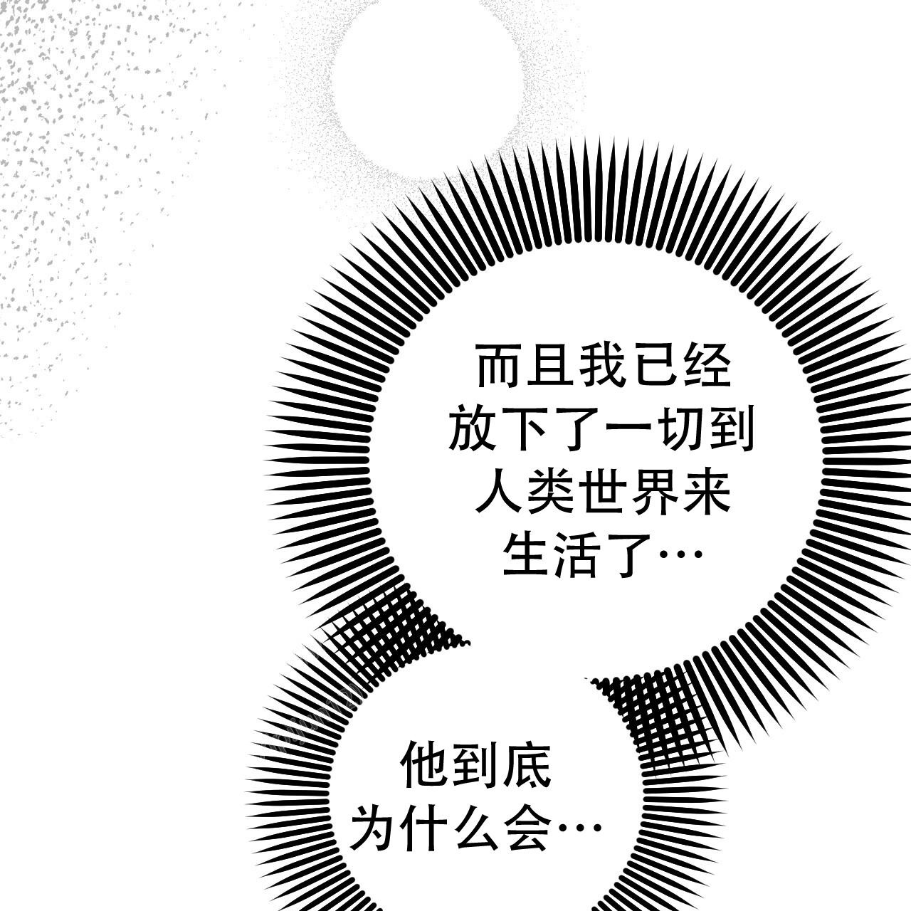 《 夏菲菲的兔子》漫画最新章节第136话免费下拉式在线观看章节第【21】张图片