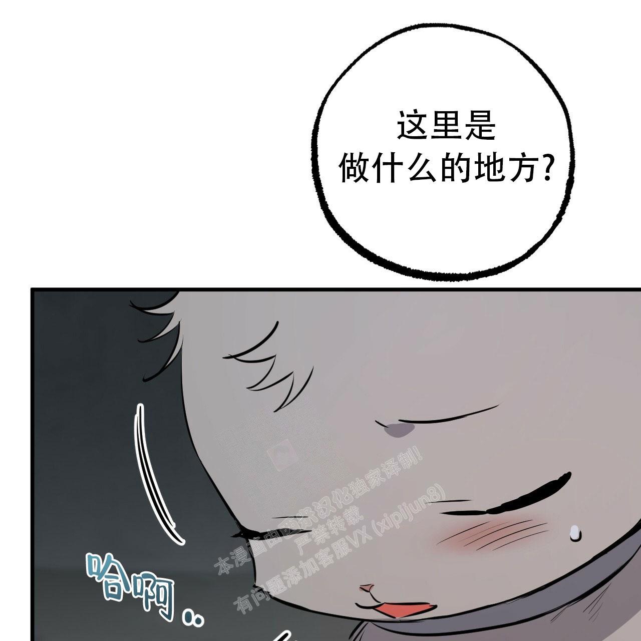 《 夏菲菲的兔子》漫画最新章节第110话免费下拉式在线观看章节第【31】张图片