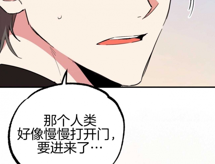 《 夏菲菲的兔子》漫画最新章节第18话免费下拉式在线观看章节第【60】张图片
