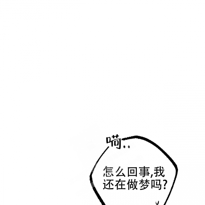 《 夏菲菲的兔子》漫画最新章节第96话免费下拉式在线观看章节第【63】张图片