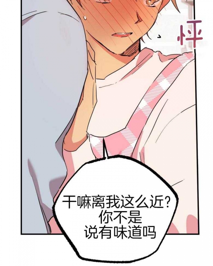 《 夏菲菲的兔子》漫画最新章节第43话免费下拉式在线观看章节第【11】张图片