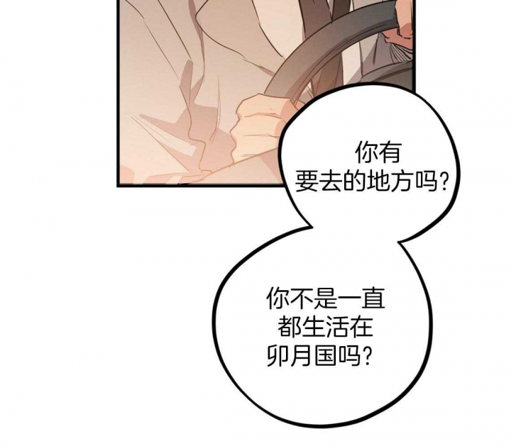 《 夏菲菲的兔子》漫画最新章节第64话免费下拉式在线观看章节第【57】张图片