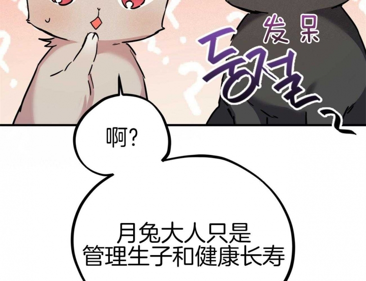 《 夏菲菲的兔子》漫画最新章节第8话免费下拉式在线观看章节第【72】张图片