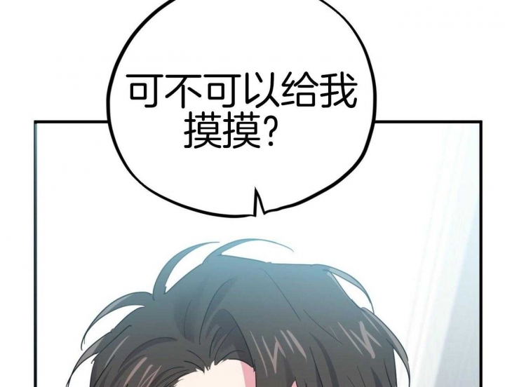 《 夏菲菲的兔子》漫画最新章节第26话免费下拉式在线观看章节第【37】张图片