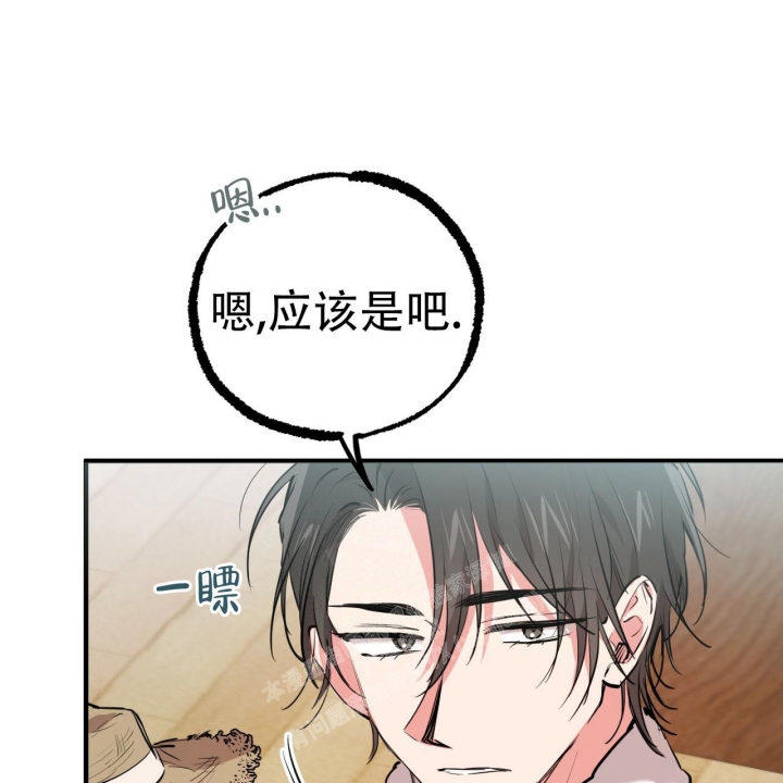 《 夏菲菲的兔子》漫画最新章节第80话免费下拉式在线观看章节第【35】张图片