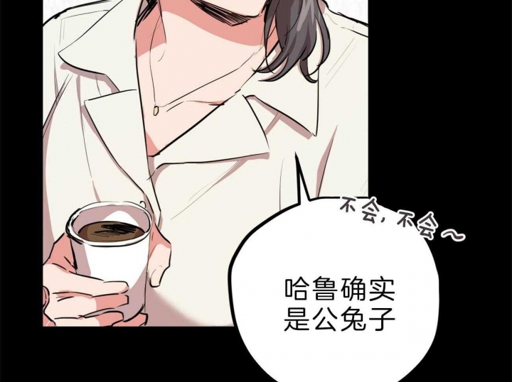 《 夏菲菲的兔子》漫画最新章节第78话免费下拉式在线观看章节第【24】张图片