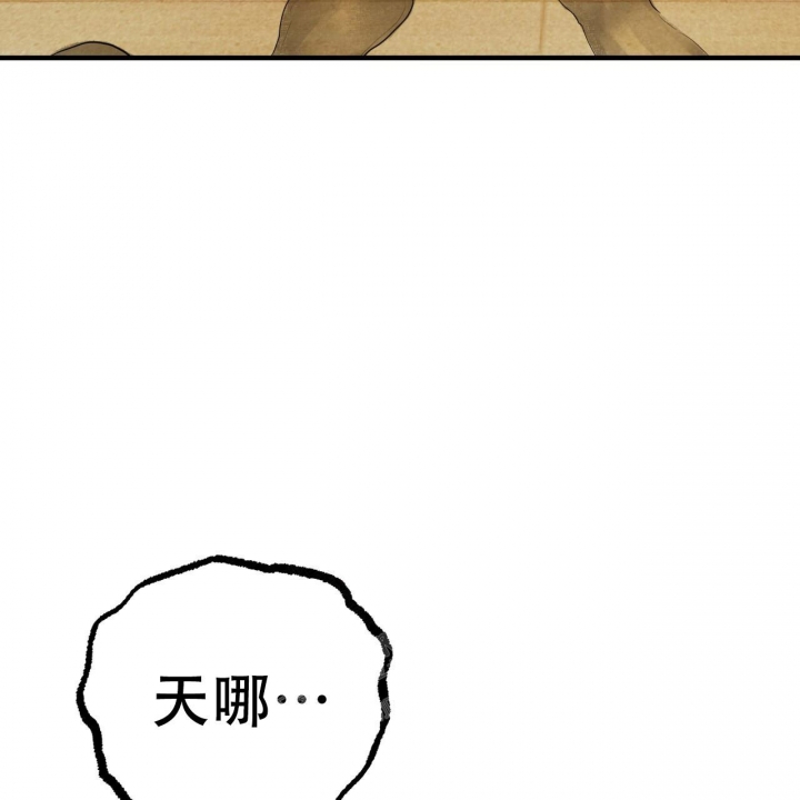 《 夏菲菲的兔子》漫画最新章节第90话免费下拉式在线观看章节第【74】张图片