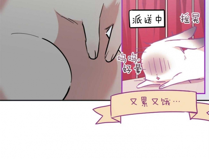 《 夏菲菲的兔子》漫画最新章节第6话免费下拉式在线观看章节第【42】张图片