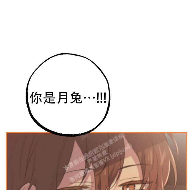 《 夏菲菲的兔子》漫画最新章节第96话免费下拉式在线观看章节第【81】张图片