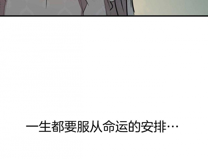 《 夏菲菲的兔子》漫画最新章节第61话免费下拉式在线观看章节第【19】张图片