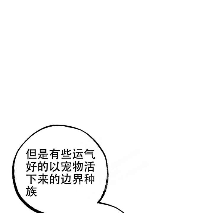 《 夏菲菲的兔子》漫画最新章节第87话免费下拉式在线观看章节第【16】张图片