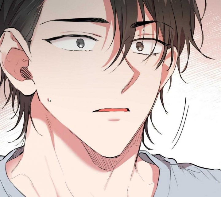 《 夏菲菲的兔子》漫画最新章节第48话免费下拉式在线观看章节第【44】张图片