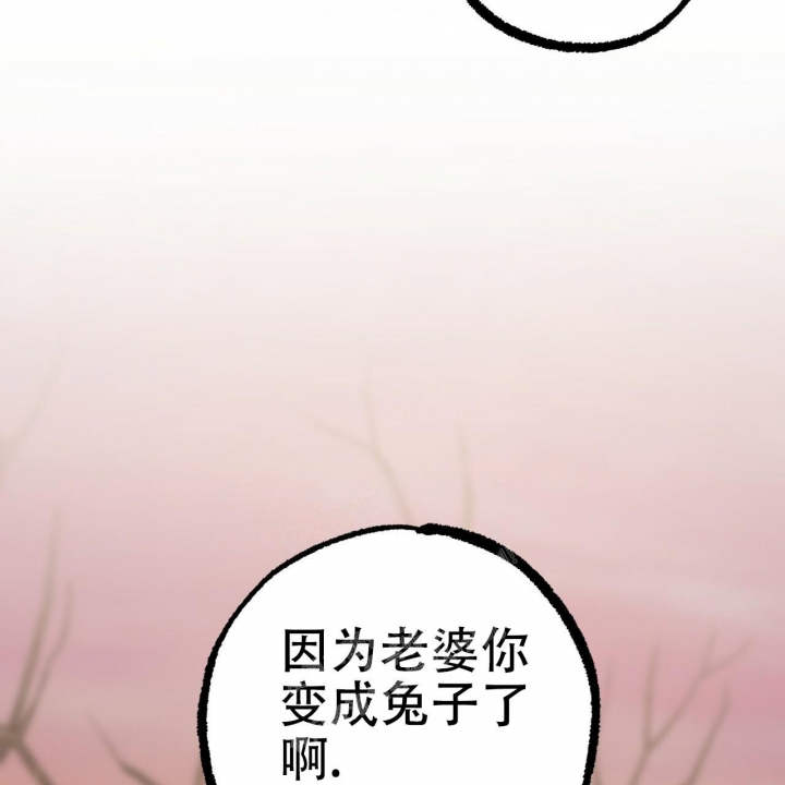 《 夏菲菲的兔子》漫画最新章节第92话免费下拉式在线观看章节第【87】张图片