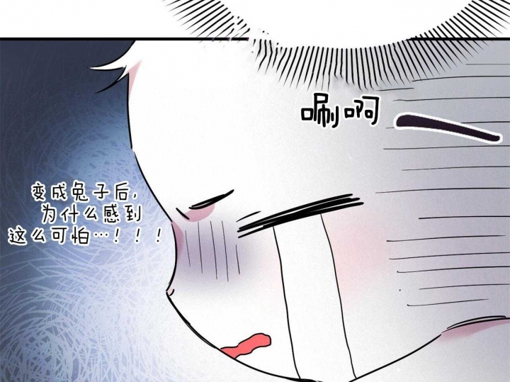 《 夏菲菲的兔子》漫画最新章节第9话免费下拉式在线观看章节第【72】张图片