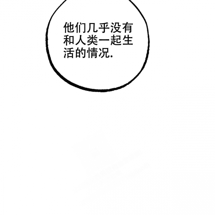 《 夏菲菲的兔子》漫画最新章节第87话免费下拉式在线观看章节第【11】张图片