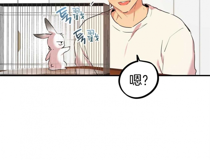 《 夏菲菲的兔子》漫画最新章节第7话免费下拉式在线观看章节第【16】张图片