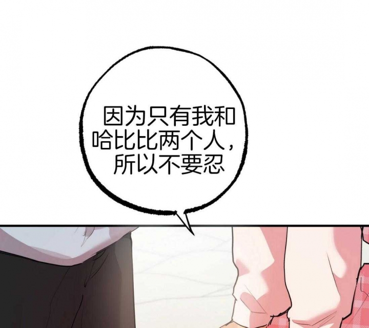 《 夏菲菲的兔子》漫画最新章节第48话免费下拉式在线观看章节第【19】张图片