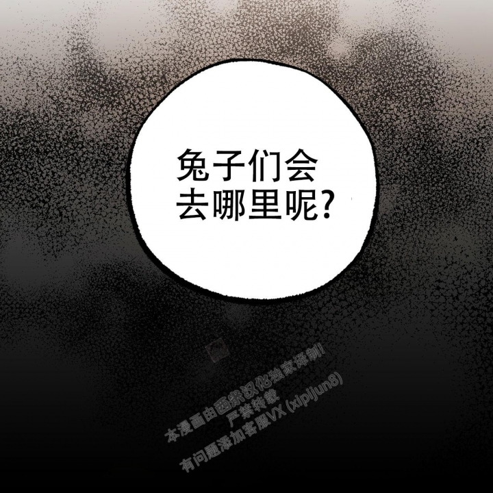 《 夏菲菲的兔子》漫画最新章节第87话免费下拉式在线观看章节第【52】张图片