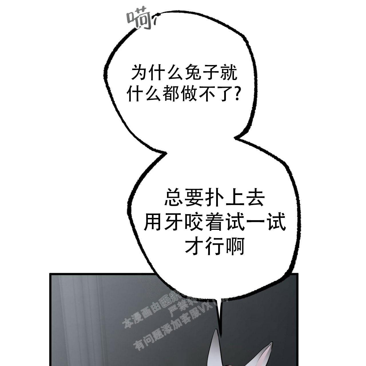 《 夏菲菲的兔子》漫画最新章节第111话免费下拉式在线观看章节第【1】张图片