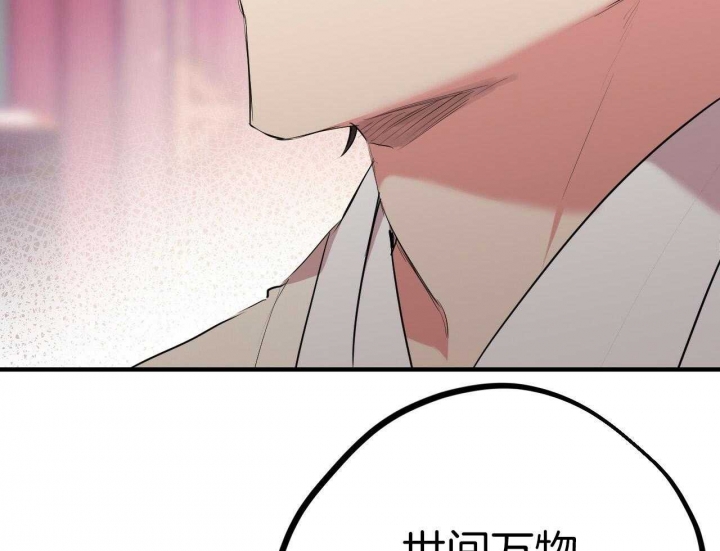 《 夏菲菲的兔子》漫画最新章节第61话免费下拉式在线观看章节第【7】张图片