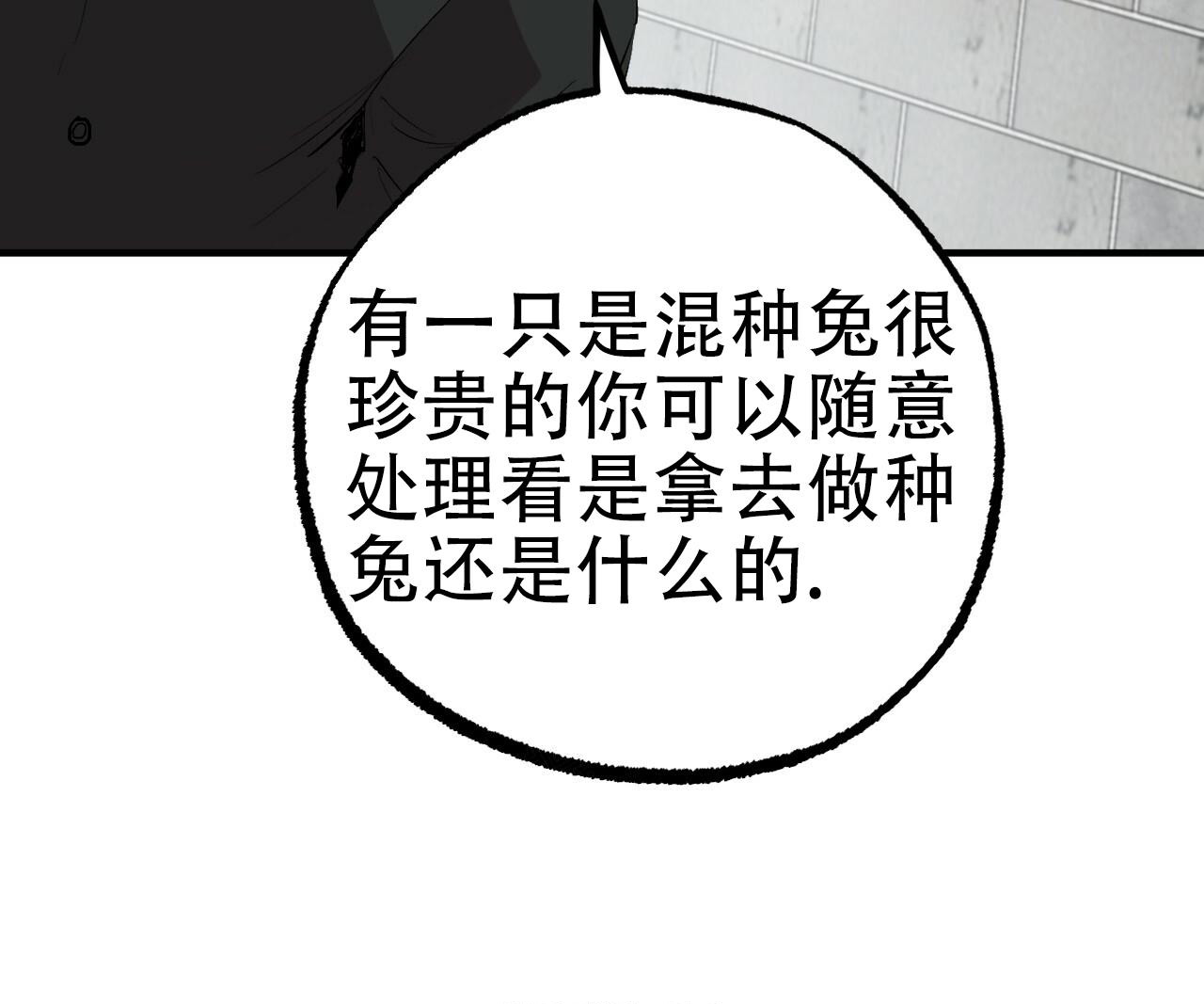 《 夏菲菲的兔子》漫画最新章节第107话免费下拉式在线观看章节第【35】张图片