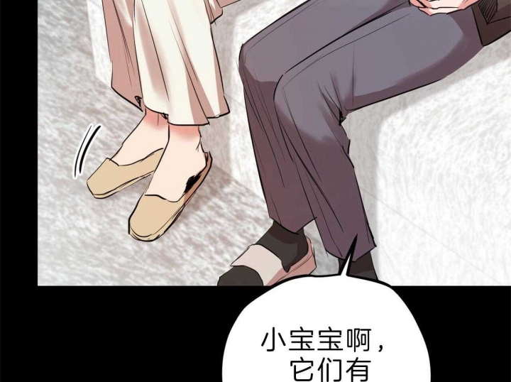 《 夏菲菲的兔子》漫画最新章节第78话免费下拉式在线观看章节第【8】张图片