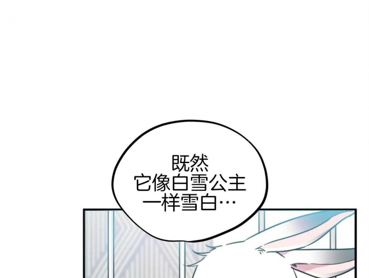 《 夏菲菲的兔子》漫画最新章节第4话免费下拉式在线观看章节第【53】张图片