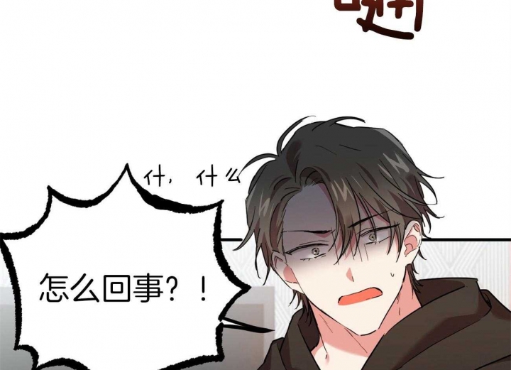 《 夏菲菲的兔子》漫画最新章节第18话免费下拉式在线观看章节第【4】张图片