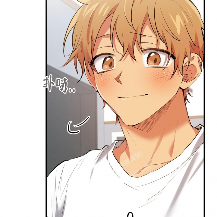 《 夏菲菲的兔子》漫画最新章节第97话免费下拉式在线观看章节第【28】张图片
