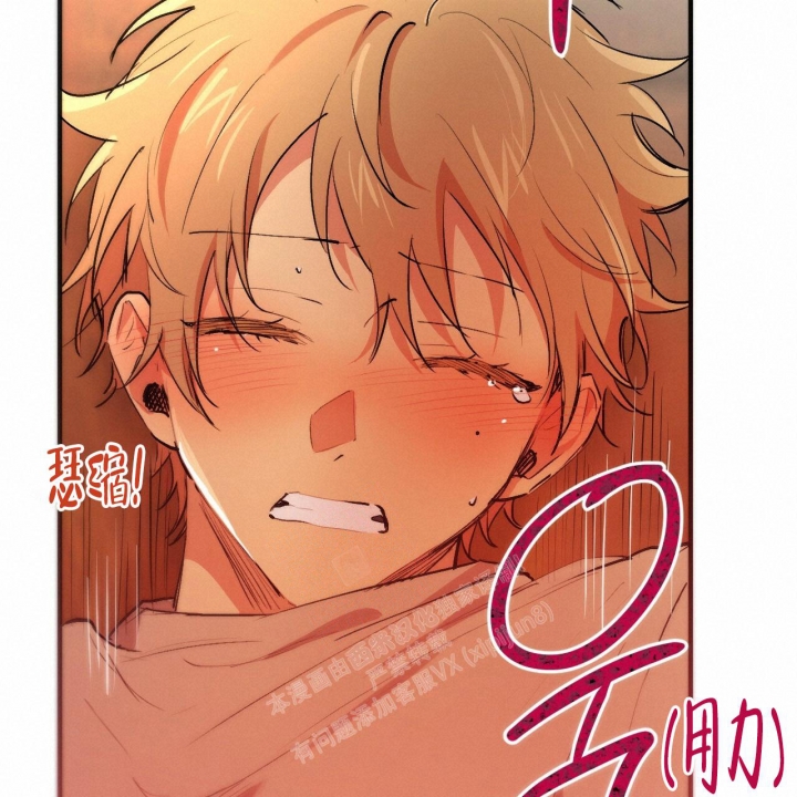 《 夏菲菲的兔子》漫画最新章节第84话免费下拉式在线观看章节第【74】张图片