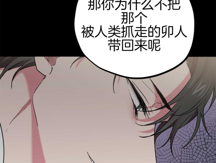 《 夏菲菲的兔子》漫画最新章节第16话免费下拉式在线观看章节第【13】张图片